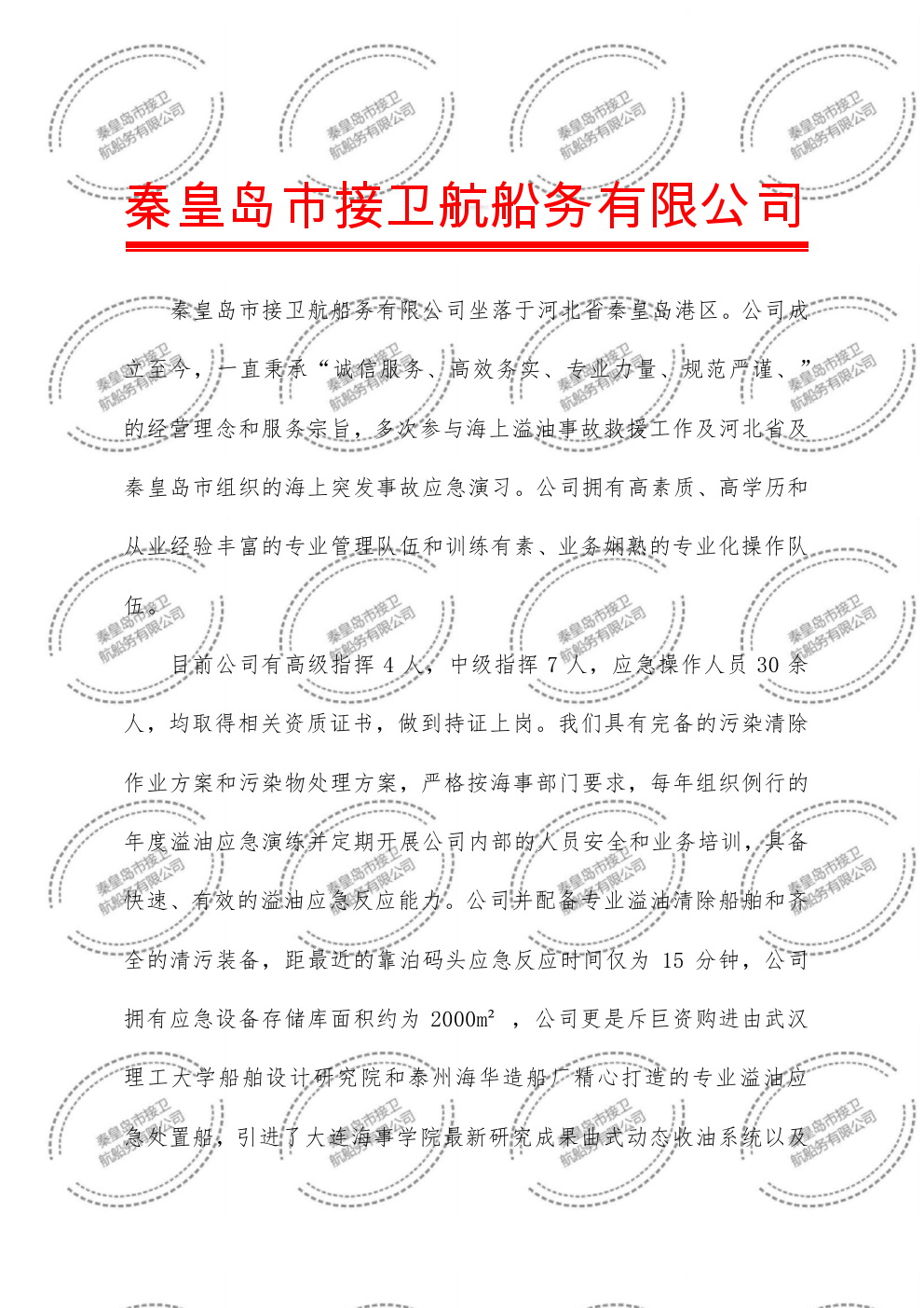 能力报告